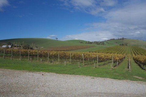 Wine Compass - Accommodation NSW 1