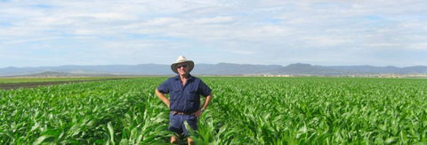 Quirindi Grain And Produce - Accommodation NSW 1
