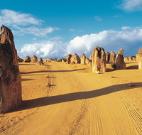 Pinnacles Desert Koalas and Sandboarding 4WD Day Tour from Perth - Accommodation NSW
