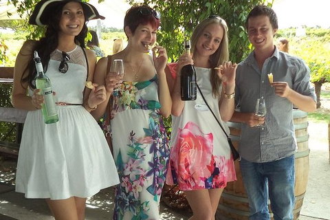 1/2 Day Swan Valley Wine Cheese & Chocolate Tour Inc Afternoon Cruise To Perth - Accommodation NSW 0