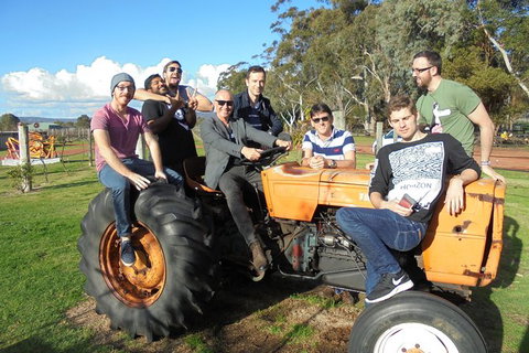 1/2 Day Swan Valley Wine Cheese & Chocolate Tour Inc Afternoon Cruise To Perth - Accommodation NSW 8