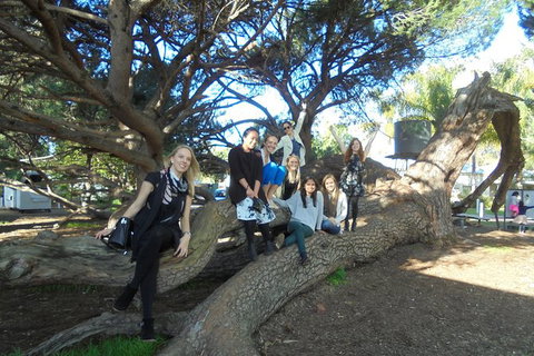 1/2 Day Swan Valley Wine Cheese & Chocolate Tour Inc Afternoon Cruise To Perth - Accommodation NSW 10