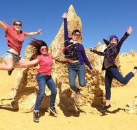 Pinnacles and Swan Valley Day Trip from Perth Including Caversham Wildlife Park Vineyard Lunch Pinnacles and Sandboarding - Accommodation NSW