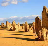 Pinnacles and Yanchep National Park Day Trip from Perth Including Lobster Shack Lunch and Sandboarding - Accommodation NSW