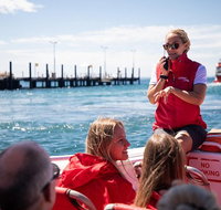 Rottnest Island Tour from Perth or Fremantle including Adventure Speed Boat Ride - Accommodation NSW