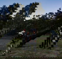 Stargazing Busselton with Mobile Observatory - Accommodation NSW