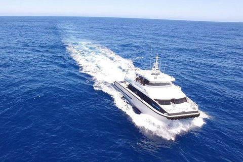 Dunsborough Whale Watching Eco Tour - Accommodation NSW 8