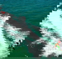 Geraldton Tubing Experience - Accommodation NSW