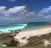 Abrolhos Island Half Day Fly and Flipper - Accommodation NSW