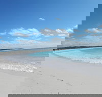 Shipwreck Special Nature Tour/Half Day Tour - Accommodation NSW