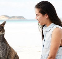 10 Day Perth to Adelaide - The Great Australian Wilderness Journey - Accommodation NSW