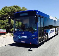 Rottnest Bayseeker Bus Tour from Hillarys Boat Harbour - Accommodation NSW