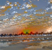 Broome City Sightseeing Tour with Optional Camel Ride - Accommodation NSW