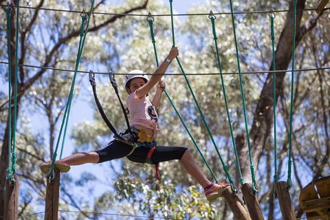 Busselton High Ropes And Zipline Adventure - Accommodation NSW 1