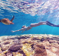 7-Day Exmouth Explorer via Pinnacles Monkey Mia Ningaloo Reef returning to Perth - Accommodation NSW