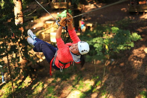 Trees Adventure Lane Poole Park - Treetop & Zipline Experience - Accommodation NSW 0