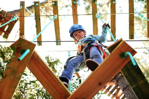 Trees Adventure Lane Poole Park - Treetop & Zipline Experience - Accommodation NSW 1