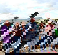 Margaret River Wine and Sights Discovery Tour from Busselton or Dunsborough - Accommodation NSW