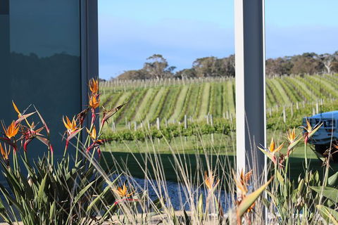 Margaret River Wine And Sights Discovery Tour From Busselton Or Dunsborough - Accommodation NSW 3