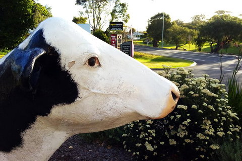 Margaret River (Private) Day Tour - Accommodation NSW 22