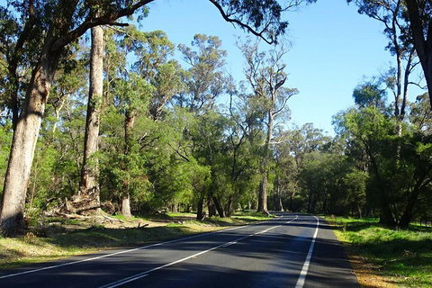 Margaret River (Private) Day Tour - Accommodation NSW 12