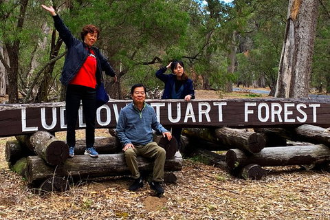 Margaret River (Private) Day Tour - Accommodation NSW 21