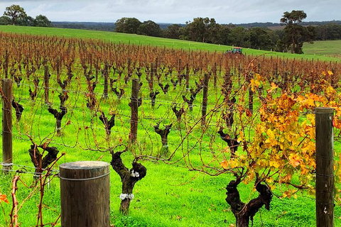 Margaret River (Private) Day Tour - Accommodation NSW 8