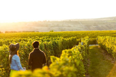 Margaret River Private Tour - Accommodation NSW 2