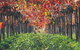 Margaret River Private Tour - thumb 6