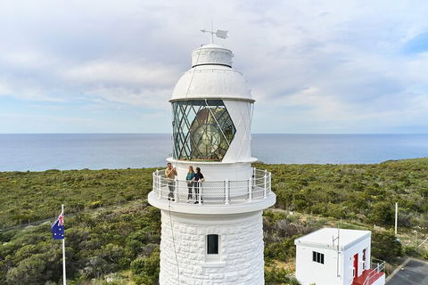 Cape Naturaliste Lighthouse Fully-guided Tour - Accommodation NSW 5