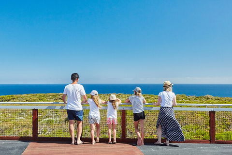Cape Naturaliste Lighthouse Fully-guided Tour - Accommodation NSW 3