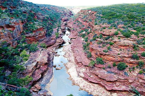 Kalbarri Gorges & West Coast - Ground & Air Tour - Accommodation NSW 5