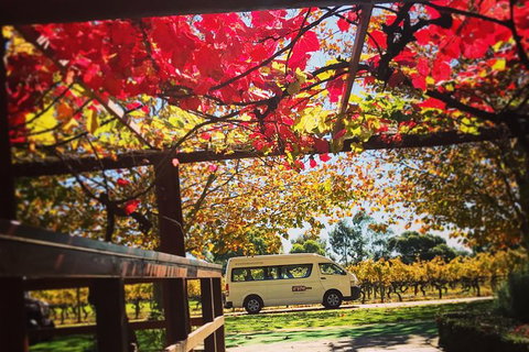 Ultimate Swan Valley Food And Wine Day Trip From Perth - Accommodation NSW 12
