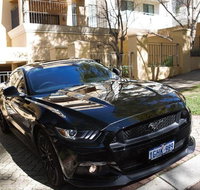 Wineries and Wildlife - With Mustang V8 Fastback - Accommodation NSW