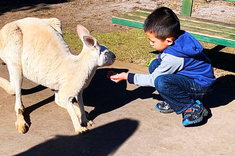 Perth Kids Explorer (Private) Day Tour - Accommodation NSW 8