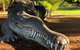 Perth Kids Explorer (Private) Day Tour - thumb 9