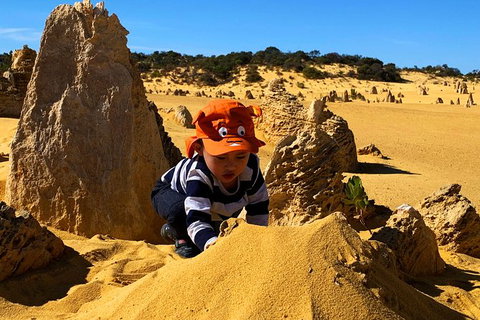 Perth Kids Explorer (Private) Day Tour - Accommodation NSW 3