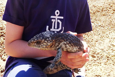 Perth Kids Explorer (Private) Day Tour - Accommodation NSW 13