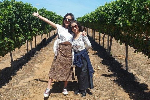 VIP Swan Valley Wine Tour - Premium Small Group Wine & Gourmet Experience - Accommodation NSW 3