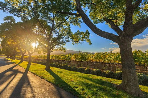 VIP Swan Valley Wine Tour - Premium Small Group Wine & Gourmet Experience - Accommodation NSW 5