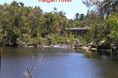 Kalgan Queen Scenic Cruises A Four Hour Sheltered Water Wildlife Tour Daily Fun. - Accommodation NSW 3