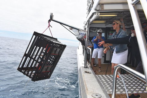 Rottnest Island Wild Seafood Package From Perth With Transfer - Accommodation NSW 0
