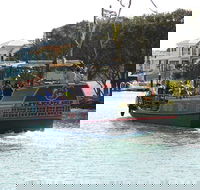 Pirate Ship Lunch Cruise 1.5hr - Accommodation NSW