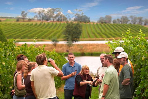 Yarra Valley Wine And Winery Tour From Melbourne - Accommodation NSW 0