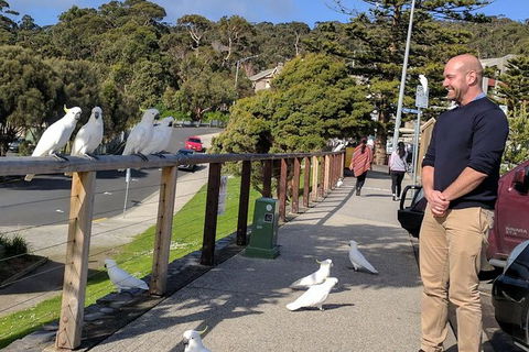 Private Full-Day Great Ocean Road Tour With Helicopter Ride - Accommodation NSW 1