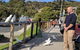 Private Full-Day Great Ocean Road Tour With Helicopter Ride - thumb 5