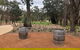 Small Public Yarra Valley Scenic Tour Inc 2 Course Lunch, Wine, Cheese - thumb 0