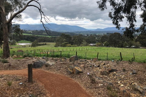 Small Public Yarra Valley Scenic Tour Inc 2 Course Lunch, Wine, Cheese - Accommodation NSW 1