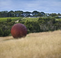 Estate to Plate Montalto Vineyard Gourmet Lunch and Wine-Tasting Tour - Accommodation NSW