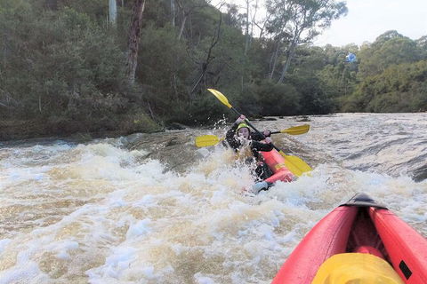 Whitewater Sports Rafting On The Yarra River - Accommodation NSW 3